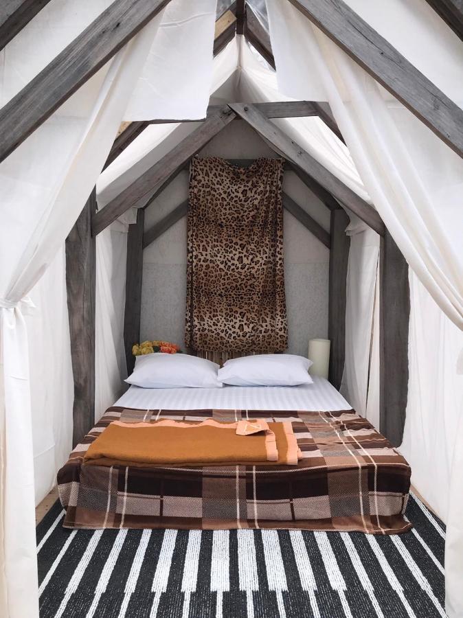 Terre Terrace Glamping - Doichang Ban Huai Khai Exterior foto